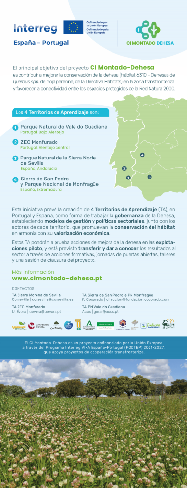 Servicios de consultoría para la organización, ejecución y desarrollo de workshops en programas interregionales Servicios de consultoría para la organización, ejecución y desarrollo de workshops en programas interregionales